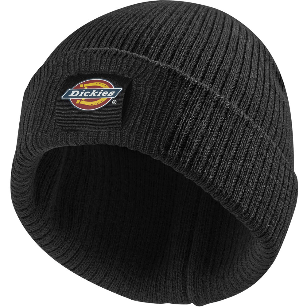 Dickies DT8003 22 Evadale Logo Beanie Various Colours