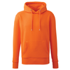 Anthem AM01 Hoodie