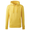 Anthem AM01 Hoodie