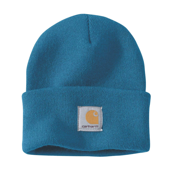 Carhartt beanie cheap chili