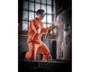 Dickies FR5402 Pyrovatex Flame Retardant Coverall Royal Blue