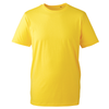 Anthem AM10 T-Shirt
