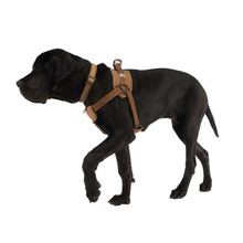 Carhartt P000341 Cargo Series Nylon Ripstop Work Dog Harness Only Buy Now at Workwear Nation!