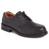 City Knights SS502CM Executive Safety Trainer Shoe Only Buy Now at Workwear Nation!