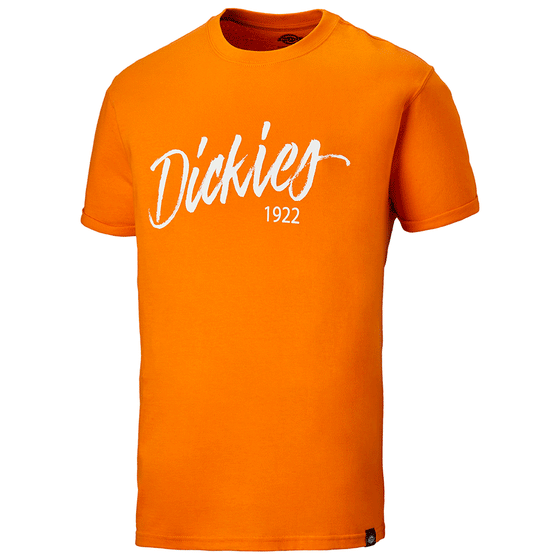 Dickies DT6012 22 Hanston Graphic T-Shirt Various Colours Only Buy Now at Workwear Nation!