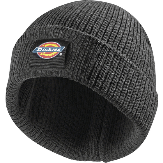 Dickies DT8003 22 Evadale Logo Beanie Various Colours Only Buy Now at Workwear Nation!